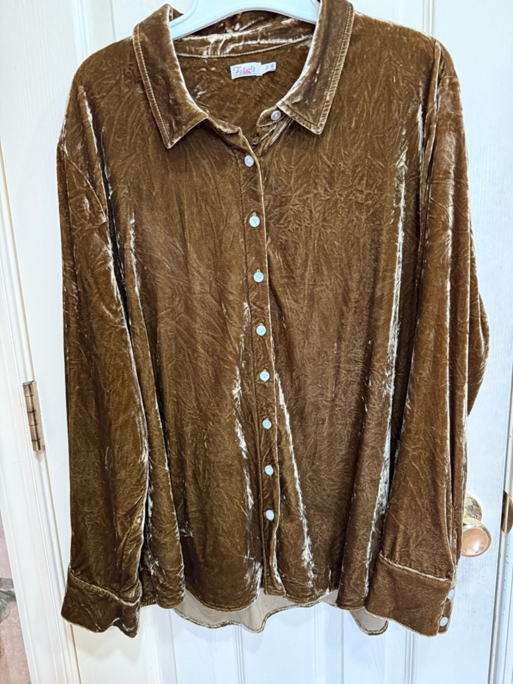 Velvet Button-Front Shirt - Brown